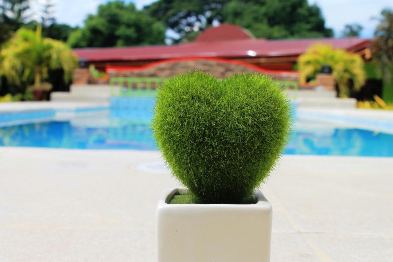 Green Park Tourist Inn Puerto Princesa Zewnętrze zdjęcie